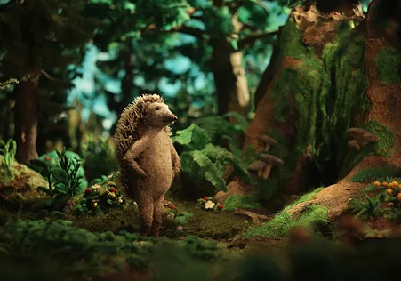 HEDGEHOG'S HOME.PNG