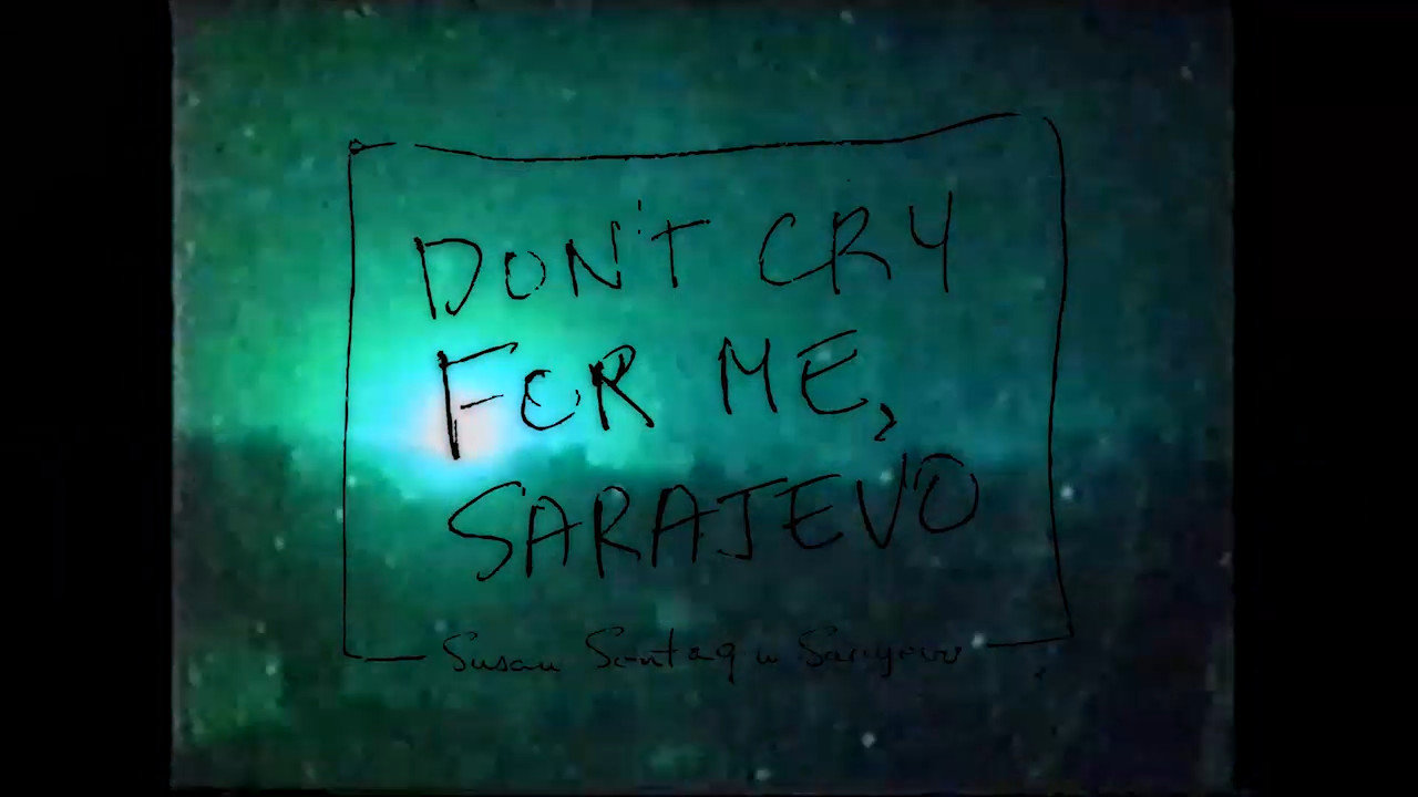 SUSAN_SONTAG_MONTAZA_720p.mp4.10_02_27_0