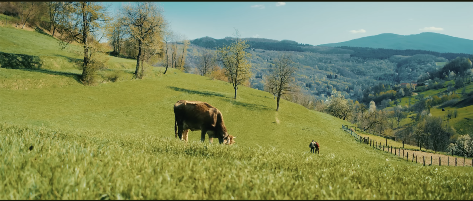 TESTAMENT still 2