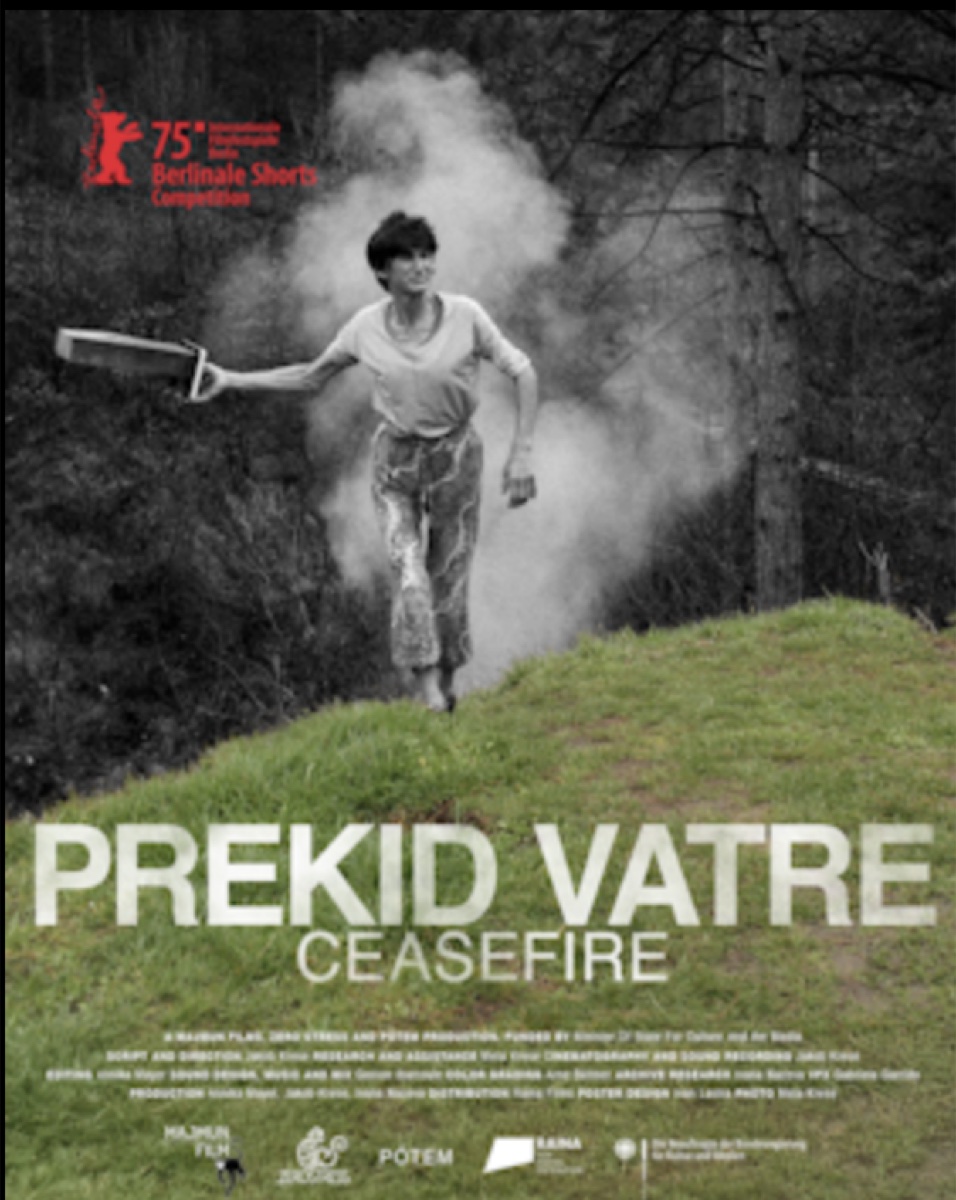 CEASEFIRE poster