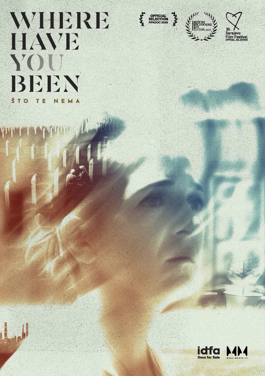 WHERE HAVE YOU BEEN poster